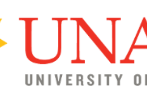 Logo of University of Namibia
