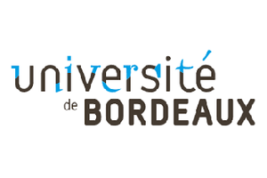 Logo of Bordeaux Institute of Technology, F BORDEAU54