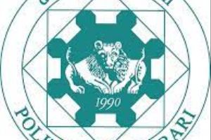 Logo of Polytechnic University of Bari, I BARI05
