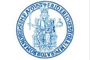 Logo of University of Naples Federico II, I NAPOLI01