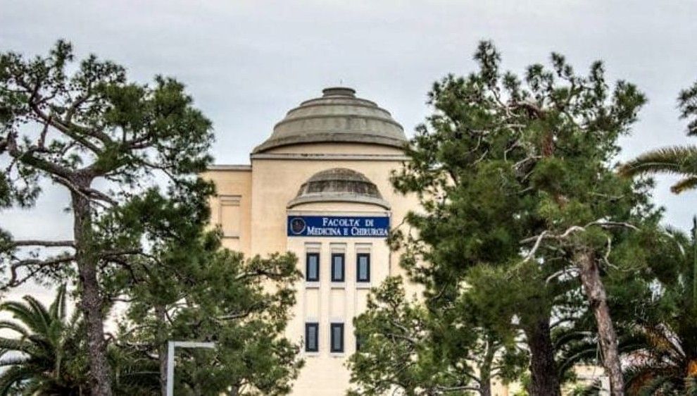 Photo illustrating the study course / programme