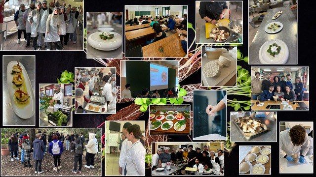 Photo illustrating the study course / programme