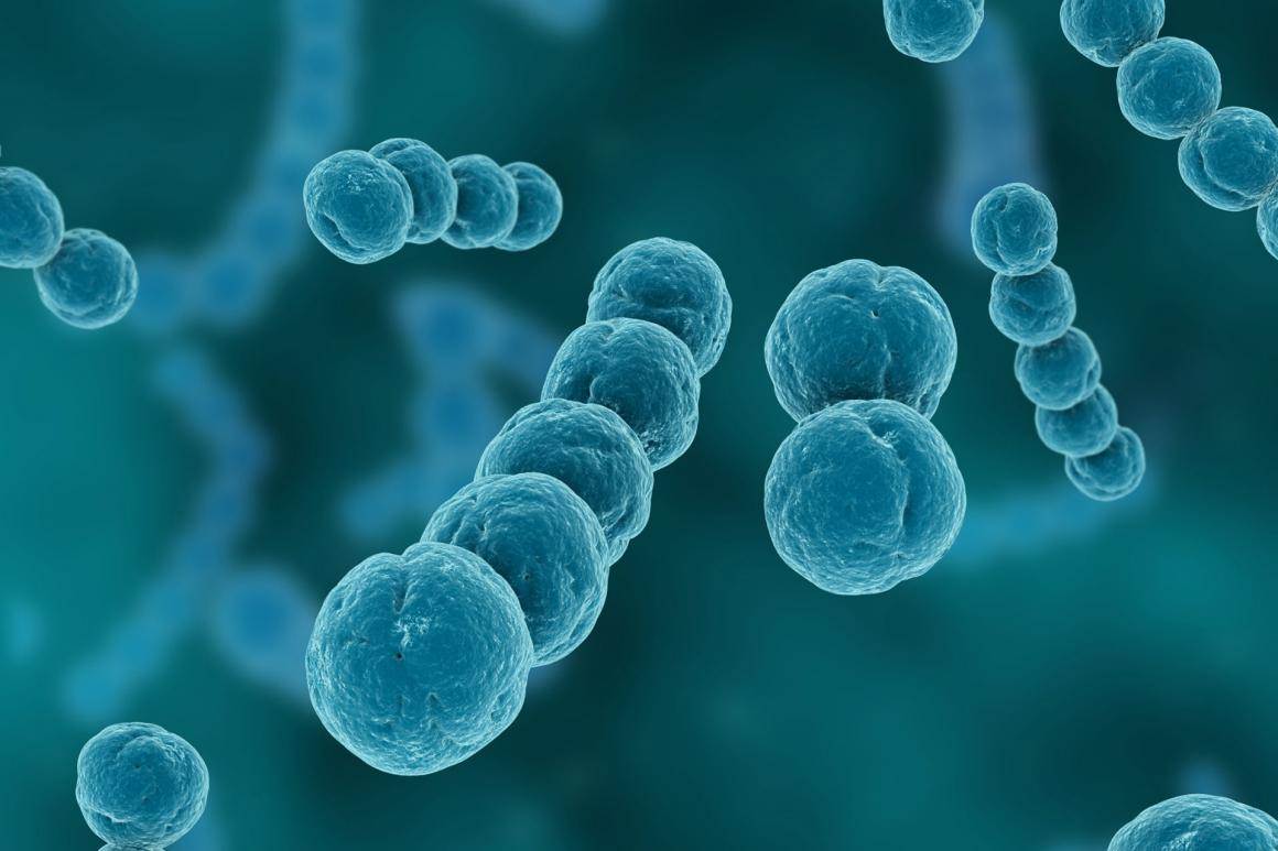 [BSc] Molecular Biology and Genetics - Koç University Application Platform