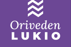 Logo of Orivesi High School