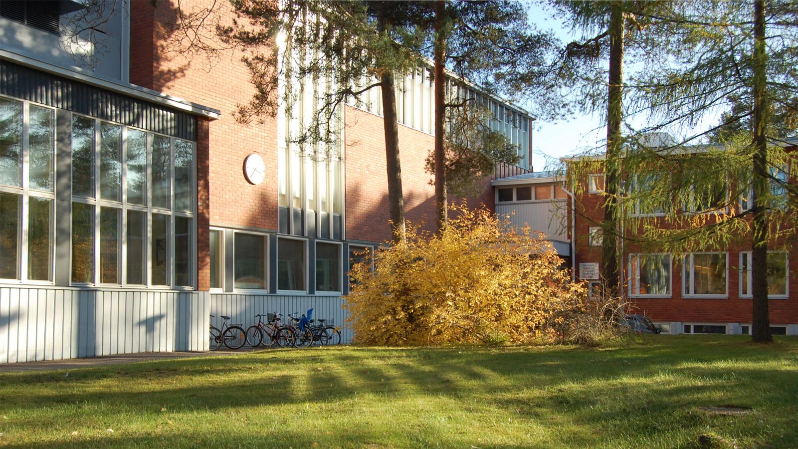 Picture illustrating the university