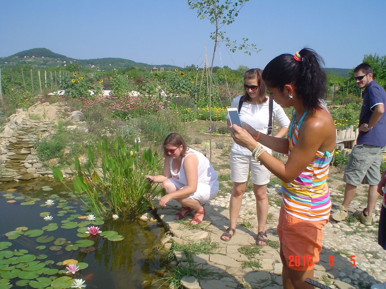 Photo illustrating the study course / programme