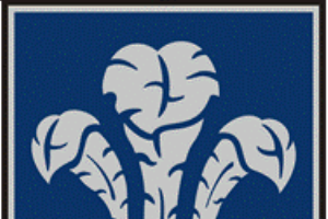 Logo of Pázmány Péter Catholic University